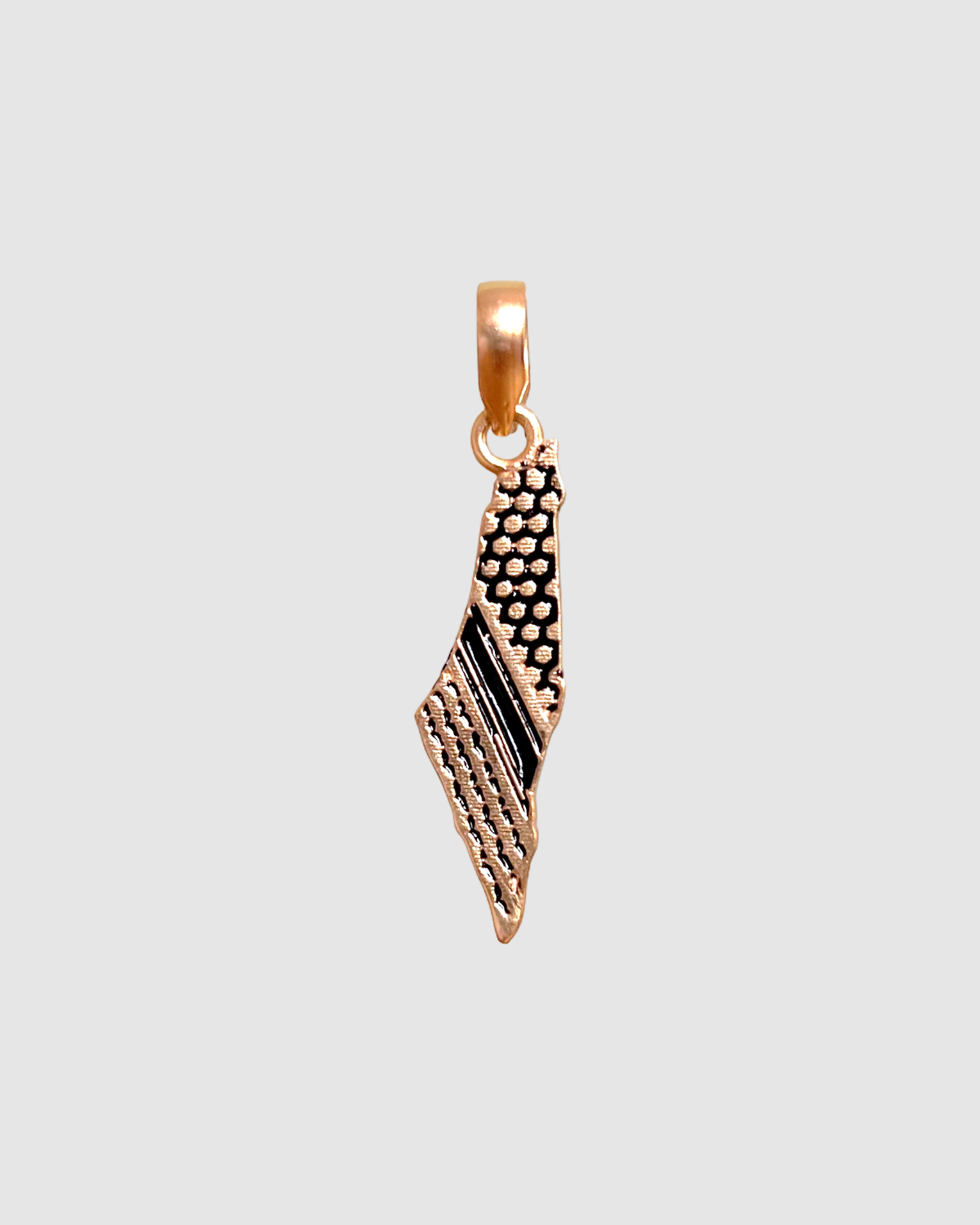 Pendentif carte de Palestine avec chaîne